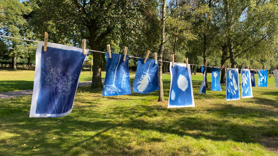 Natural Blue: Cyanotype Workshop for Young Photographers